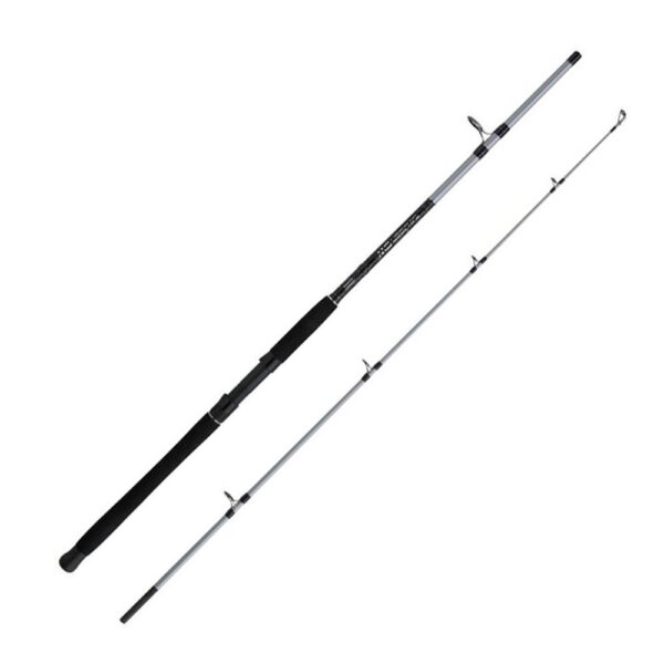 Štap MITCHELL Tanager 3 SW Boat 242  100-300g 2,40m