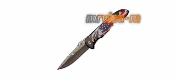 Nož džepni sklopiv (EDC) 3DF-18 Američki orao - Image 2