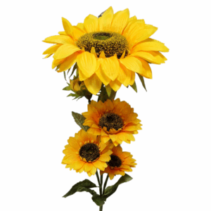 SUNCOKRET 110cm 4 Cvijeta