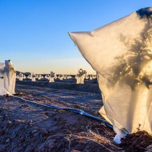 Pokrivač za biljke s vezicom i patentnim zatvaračem  1 x 1,6 m