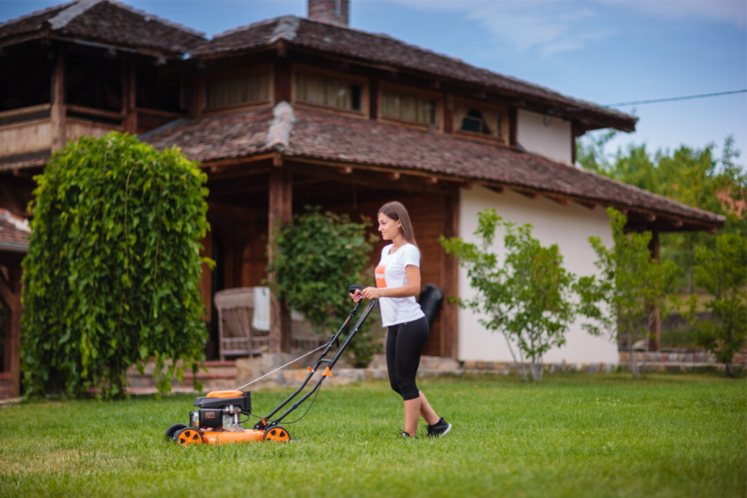 Villager motorna kosilica Atlas 5001 T 3,5kS 51cm - Slika 3