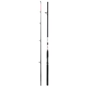 Štap DAM AQUA-X Allround 8ft/2.40m 100-200g 2 sekcije Štap za spinanje - 1