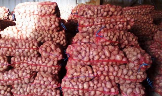 Vreća mrežasta pletena za krumpir, luk, jabuke, češnjak, orahe 30 kg 50x80cm Crvena - 1
