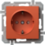 OR